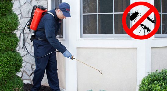 Karşıyaka Böcek İlaçlama böcek ilaçlama ve haşere kontrolü — ilaclama-tr.com